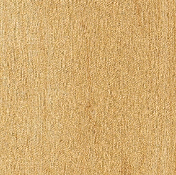 Picture of Amtico - Spacia Wood 6 x 36 Northern Maple Natural