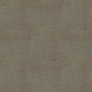 Picture of Shaw Contract - Welcome II Portabella