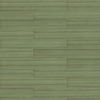 Picture of Shaw Contract - Terrain II Rigid Core 20 MIL 7 x 48 Olive