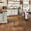 Picture of Robbins - HydroGuard Natural Oak