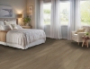 Picture of Robbins - Natural Forest Smooth Oak 4 Totally Tan