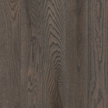 Picture of Robbins - Natural Forest Smooth Oak 5 Nickel Gray