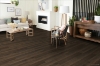 Picture of Robbins - TimberTru Pacific Path Cozy Season
