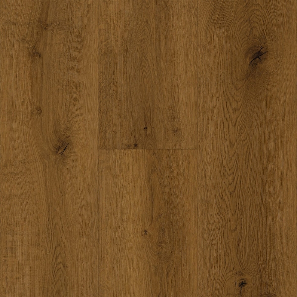 Picture of Robbins - Horizon's Embrace Mountain Top