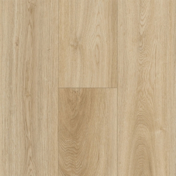 Picture of Robbins - Horizon's Embrace Desert Sun