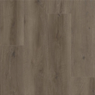 Picture of Shaw Floors - Dwell Fireside Brown