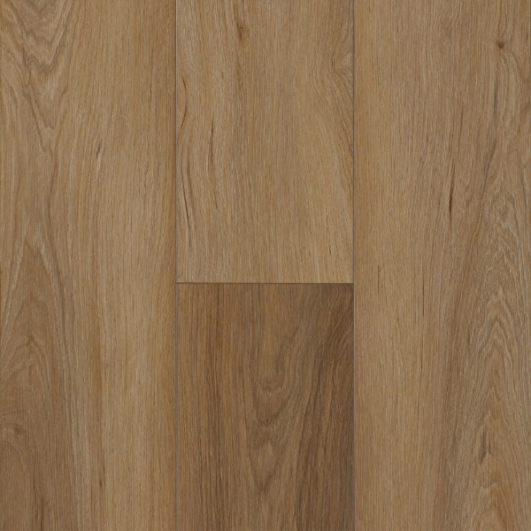 Picture of Robbins - Ingenious Plank Toffee Trail