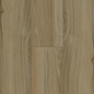 Picture of Robbins - Ingenious Plank Stag Run