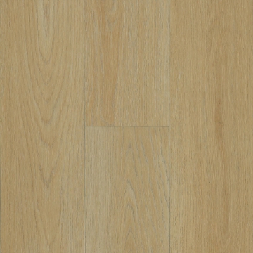 Picture of Robbins - Ingenious Plank Young Sapling