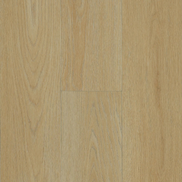 Picture of Robbins - Ingenious Plank Young Sapling