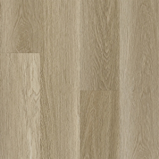 Picture of Robbins - Pro-Tekt Classic Naturally Tan