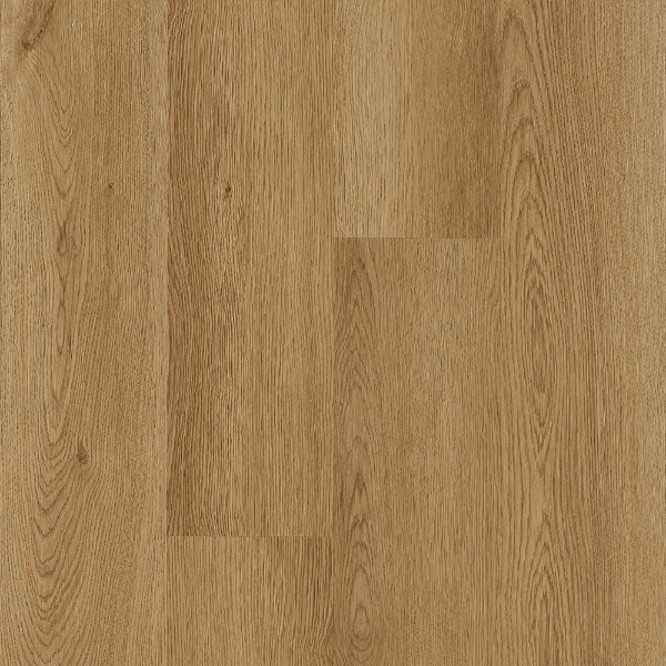 Picture of Robbins - Pro-Tekt Classic Toffee Melt