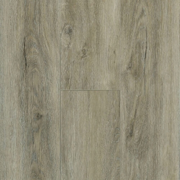 Picture of Robbins - Pro-Tekt Classic Pro Nuanced Gray