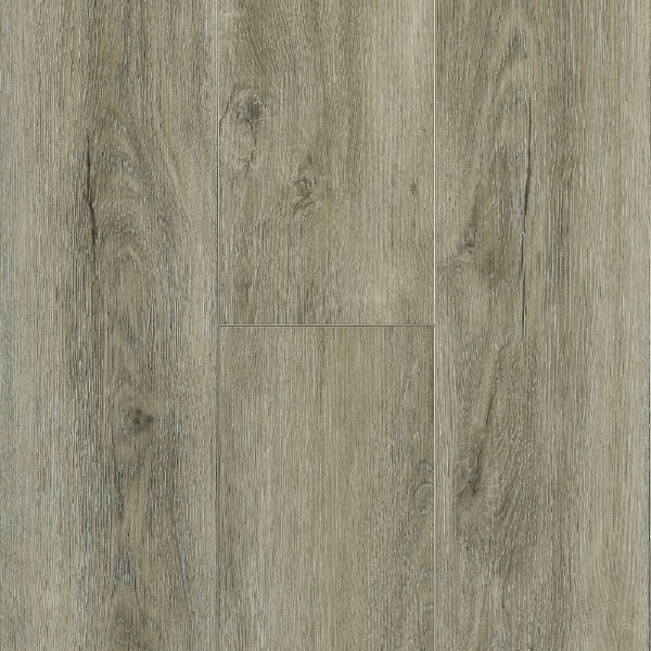 Picture of Robbins - Pro-Tekt Classic Pro Nuanced Gray