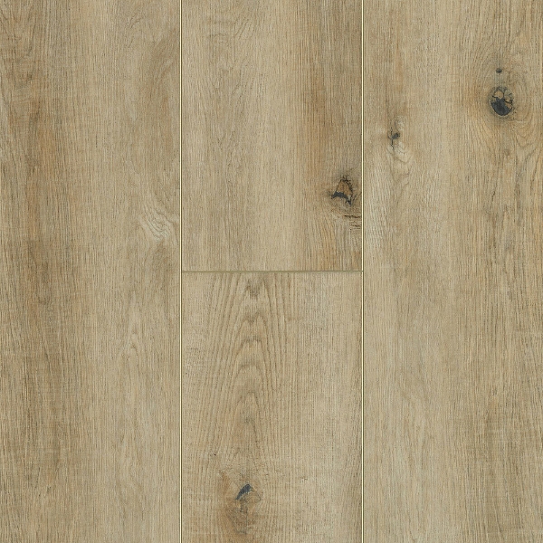 Picture of Robbins - Pro-Tekt Reserve Plank Must Have Tan