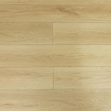 Picture of Montserrat - Rhodes Chamonix Dove