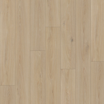 Picture of Southwind - Boundless 20 Driftwood