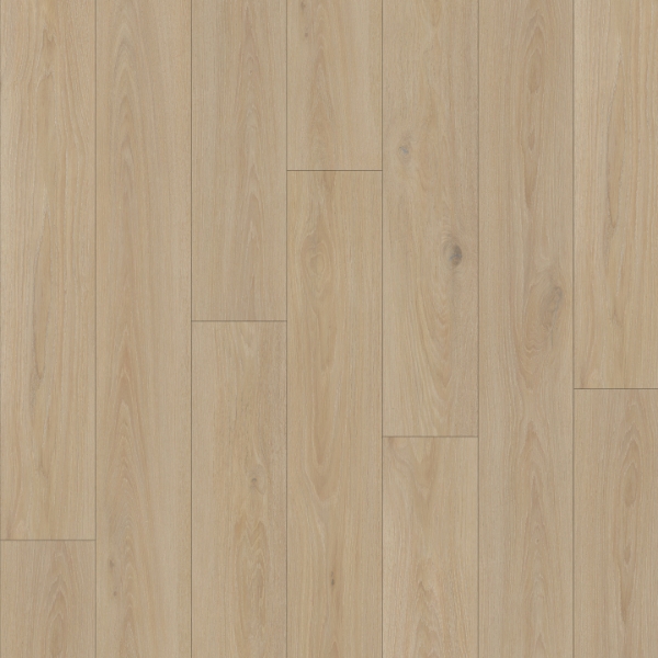 Picture of Southwind - Boundless 20 Driftwood