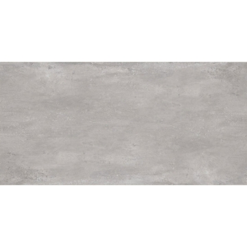 Picture of Emser Tile - Xtra Plus Pavers 23 x 47 Cytos Ash