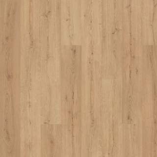 Picture of Mohawk - SolidTech Premier Saltgrass Springs Ryder