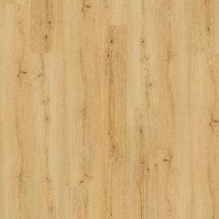 Picture of Mohawk - SolidTech Premier Saltgrass Springs Amelia