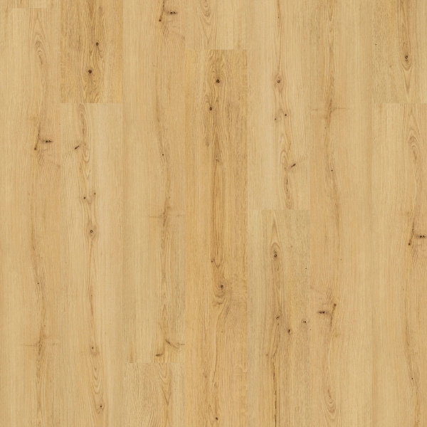 Picture of Mohawk - SolidTech Premier Saltgrass Springs Amelia