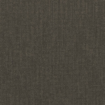 Picture of Shaw Contract - Color Frame Tile Paradox