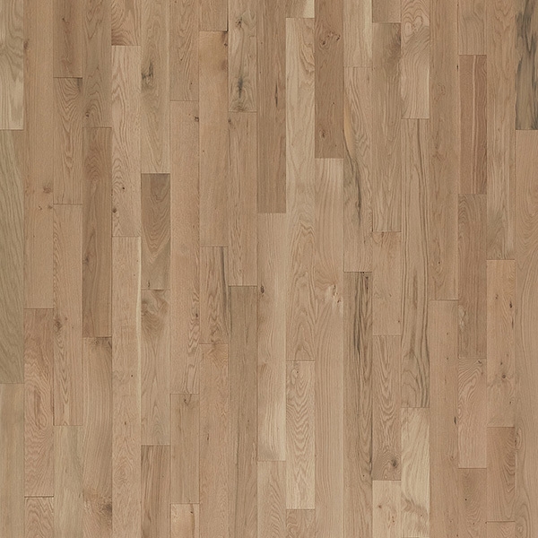 Picture of Azalea Lane - Avondale Solid Cove