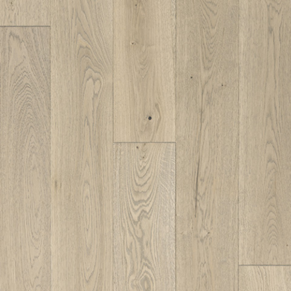 Picture of Azalea Lane - Hampton Meadows Camellia