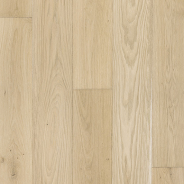 Picture of Azalea Lane - Hampton Meadows Jasmine