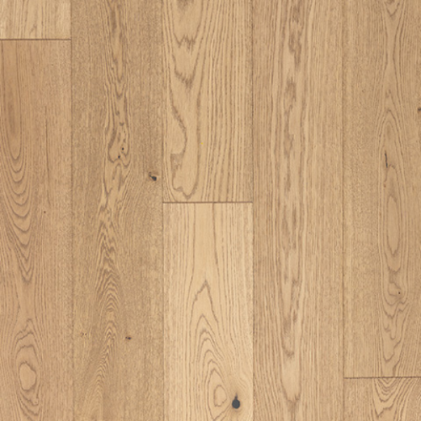 Picture of Azalea Lane - Hampton Meadows Augusta