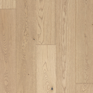 Picture of Azalea Lane - Hampton Meadows Honeysuckle