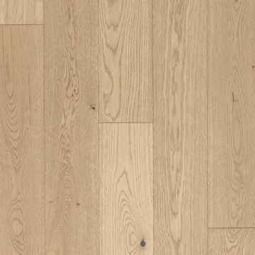 Picture of Azalea Lane - Hampton Meadows Honeysuckle