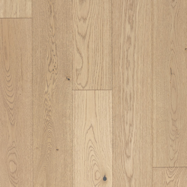 Picture of Azalea Lane - Hampton Meadows Honeysuckle