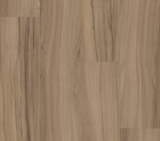 Picture of Philadelphia Commercial by Shaw - Rewild Aegis