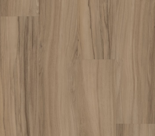 Picture of Philadelphia Commercial by Shaw - Rewild Aegis