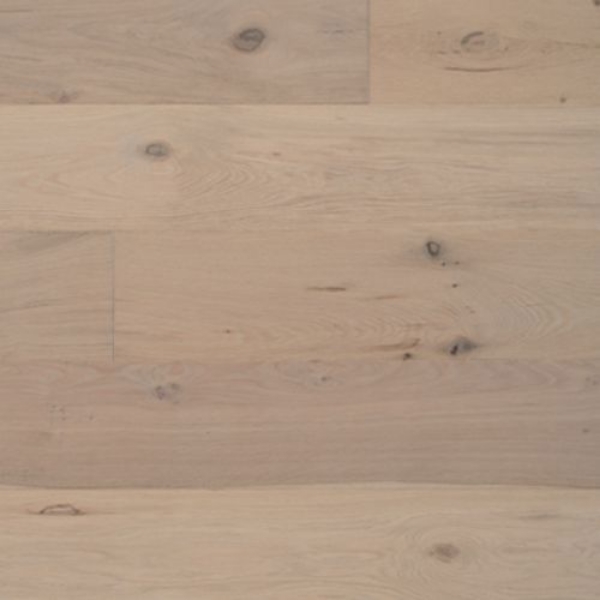 Picture of Palmetto Road - Newcastle Brisbane