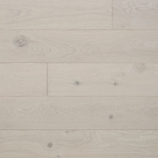 Picture of Palmetto Road - Newcastle Byron Bay