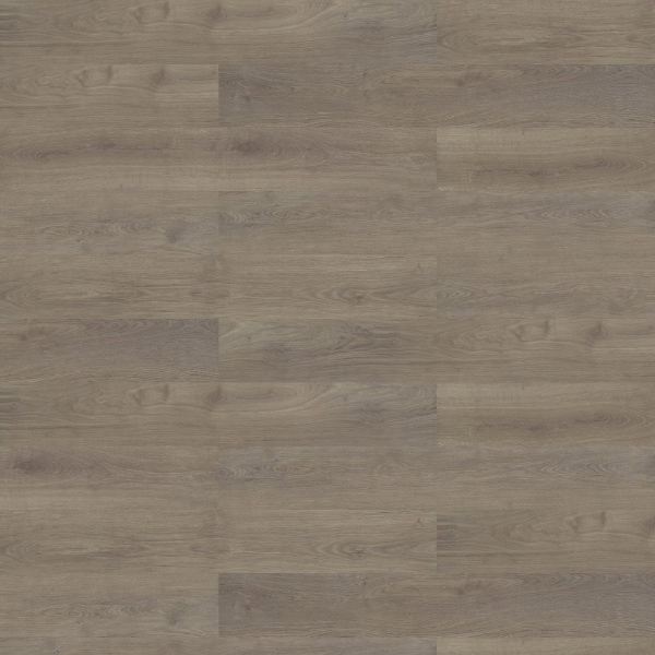 Picture of Shaw Contract - Branching Out Coretec 12MIL Pinecone Oak