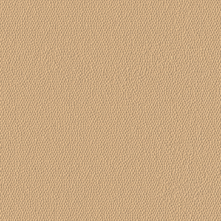 Picture of Burke - Colorscape Sculptured 36 x 36 QuickStix Desert Sand