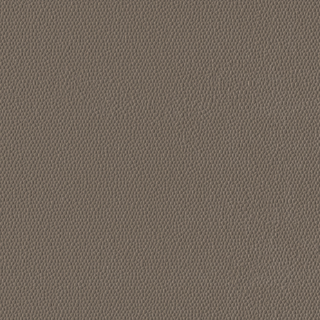 Picture of Burke - Colorscape Sculptured 36 x 36 QuickStix Moonbeam