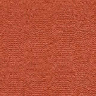 Picture of Burke - Colorscape Sculptured 36 x 36 QuickStix Mango