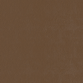 Picture of Burke - Colorscape Sculptured 36 x 36 QuickStix Tumbleweed