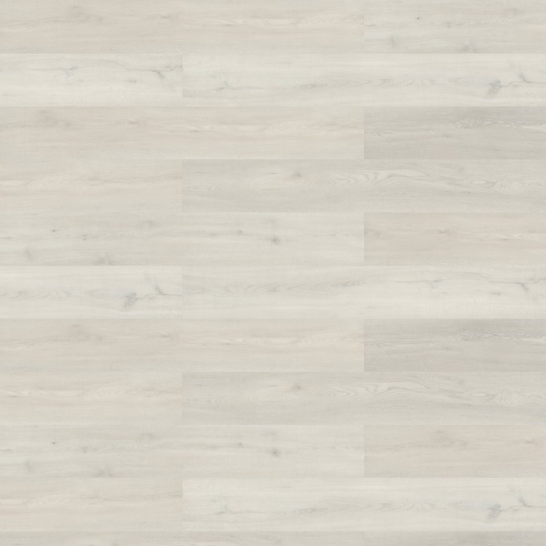 Picture of Shaw Contract - Branching Out Coretec 12MIL Rise Oak