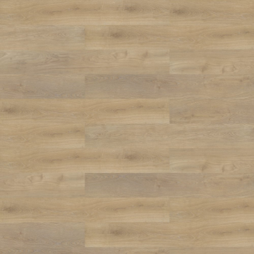 Picture of Shaw Contract - Branching Out Coretec 12MIL Prairie Oak