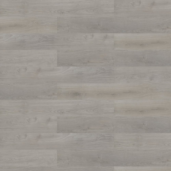 Picture of Shaw Contract - Branching Out Coretec 12MIL Smoky Oak