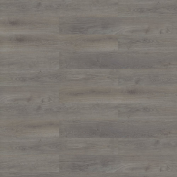 Picture of Shaw Contract - Branching Out Coretec 12MIL Traverse Oak