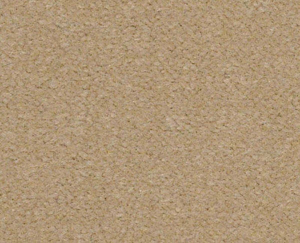 Picture of Philadelphia Commercial by Shaw - Emphatic II 36 Sand Pebble