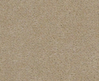 Picture of Philadelphia Commercial by Shaw - Emphatic II 36 White Gold