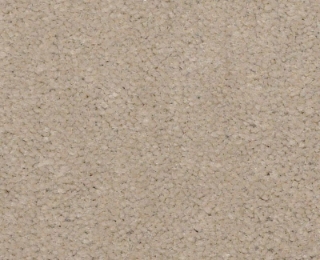 Picture of Philadelphia Commercial by Shaw - Emphatic II 36 Oatmeal